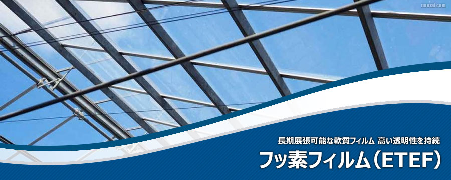 フッ素フィルム