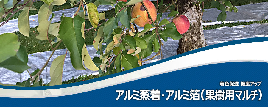 果樹マルチ アルミ蒸着・アルミ箔