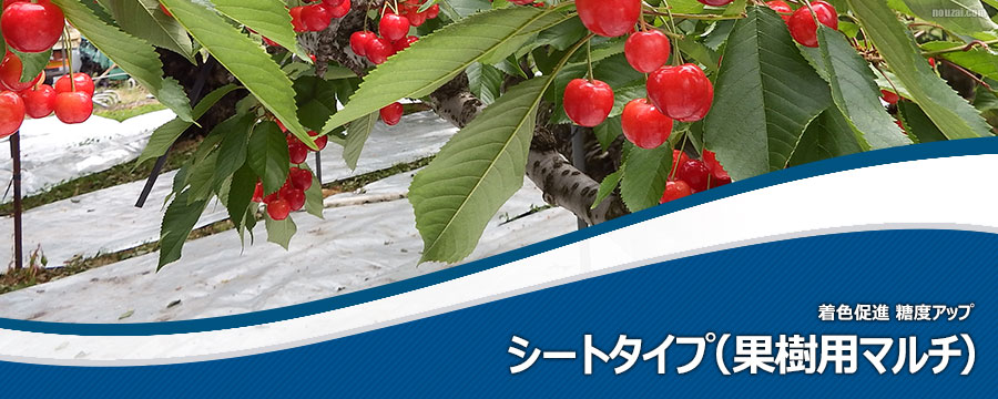 果樹マルチシートタイプ