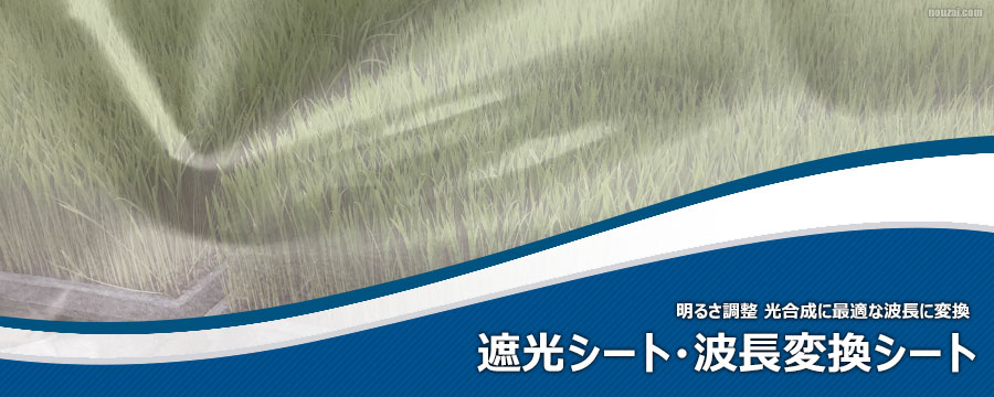 遮光シート・波長変換シート