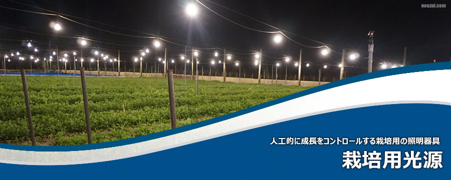 栽培用光源
