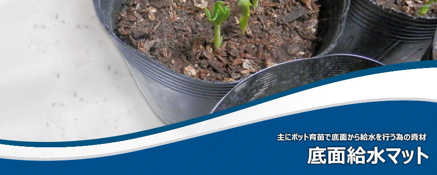 底面給水マット