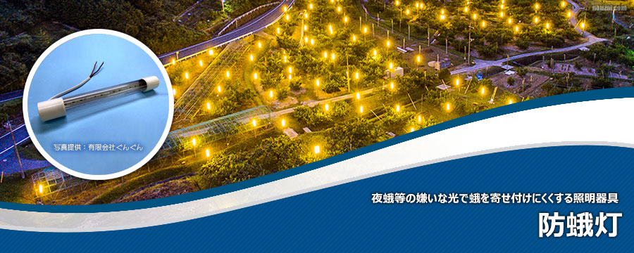 防蛾灯
