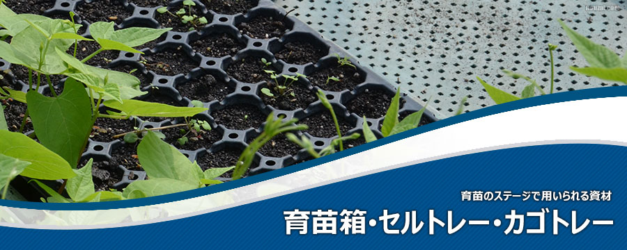 育苗箱・セルトレー・カゴトレー