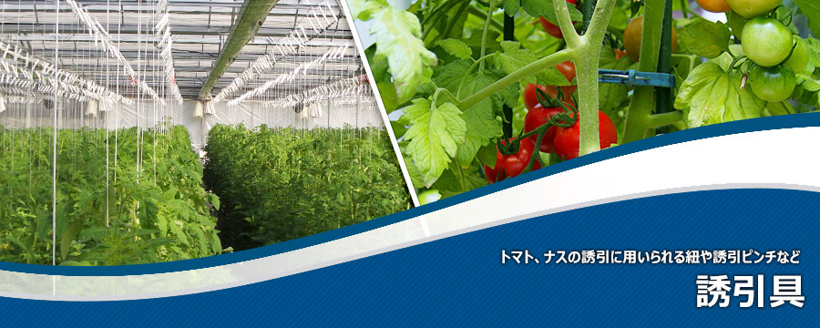 誘引具