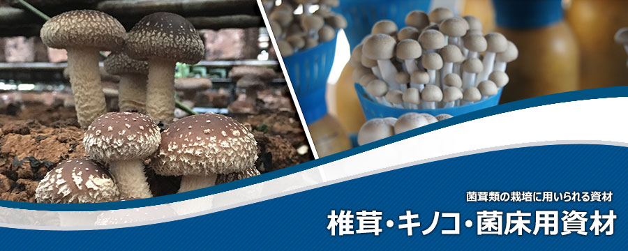 椎茸・キノコ・菌床用資材