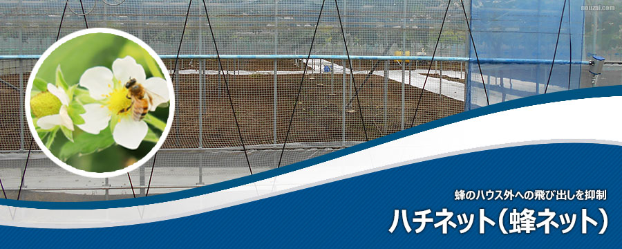 ハチネット（蜂ネット）
