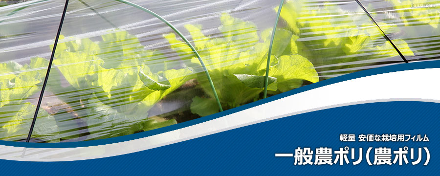 一般農ポリ