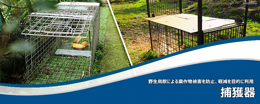捕獲器