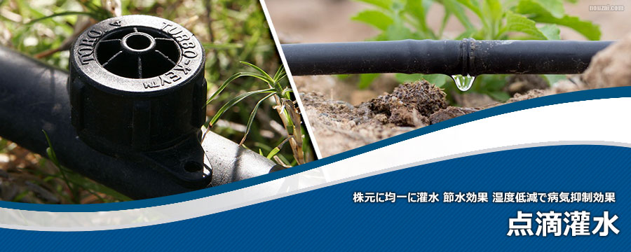点滴灌水
