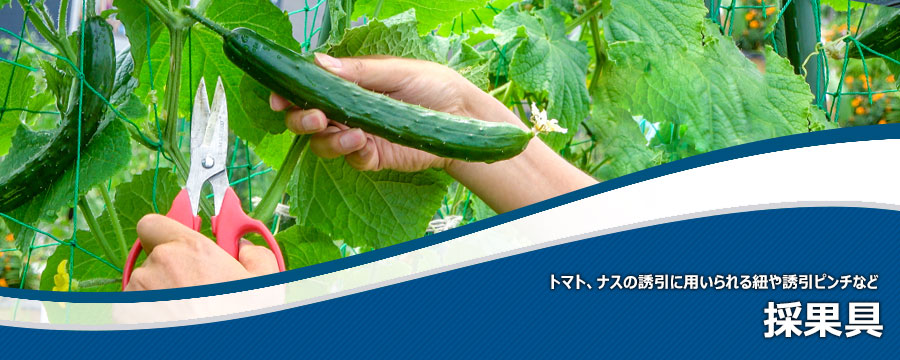 キュウリ採果具