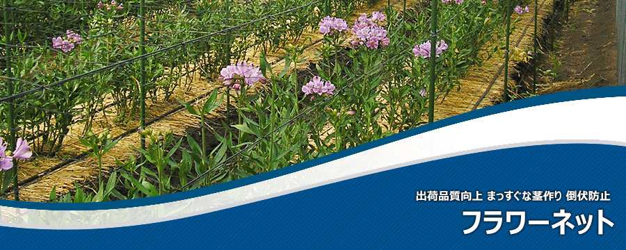 フラワーネット